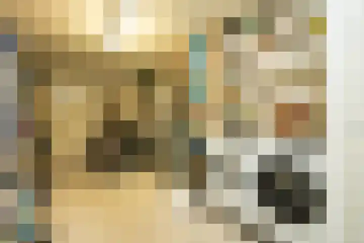 Johannushof 18 Nijmegen thumbnail 44
