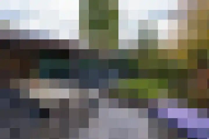 Johannushof 18 Nijmegen thumbnail 47