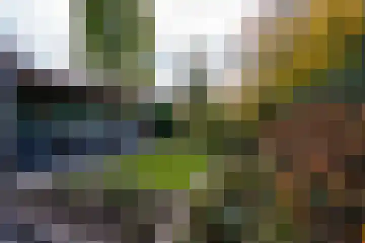 Johannushof 18 Nijmegen thumbnail 48