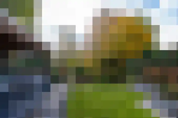 Johannushof 18 Nijmegen thumbnail 49