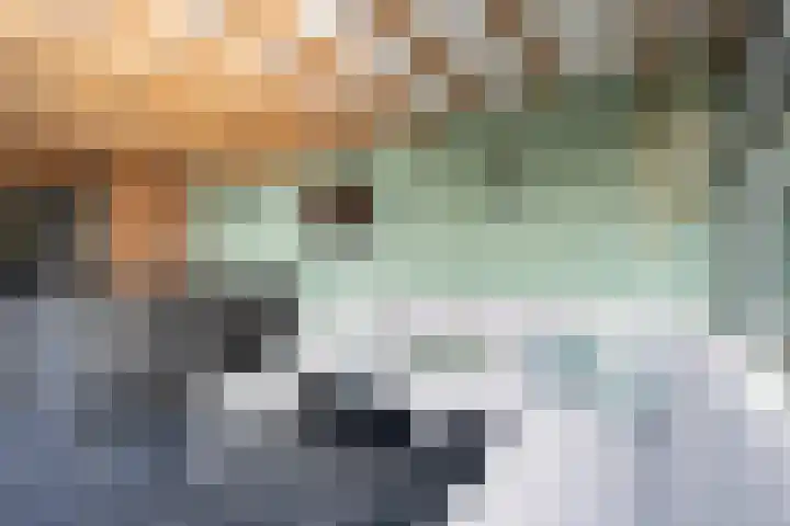 Johannushof 18 Nijmegen thumbnail 51