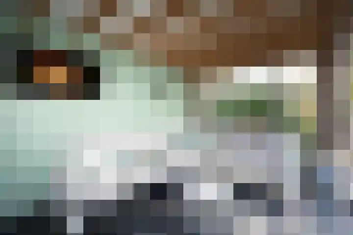 Johannushof 18 Nijmegen thumbnail 53