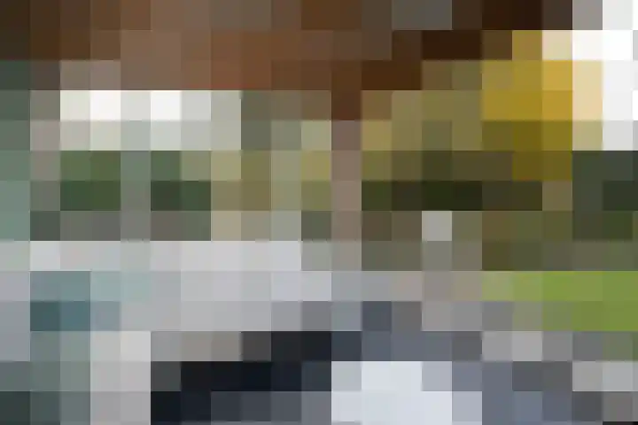 Johannushof 18 Nijmegen thumbnail 54