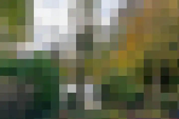 Johannushof 18 Nijmegen thumbnail 57