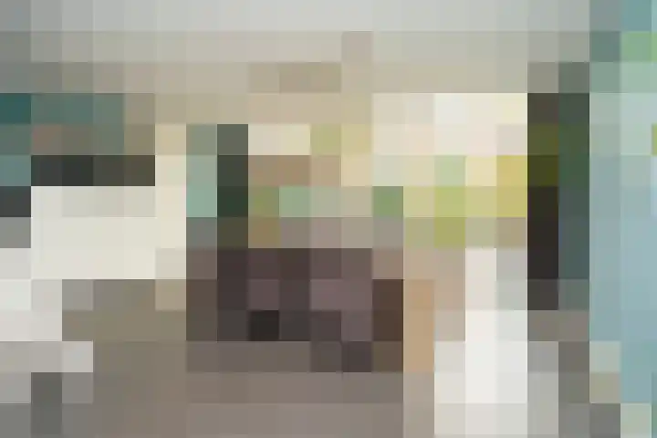 Johannushof 18 Nijmegen thumbnail 6