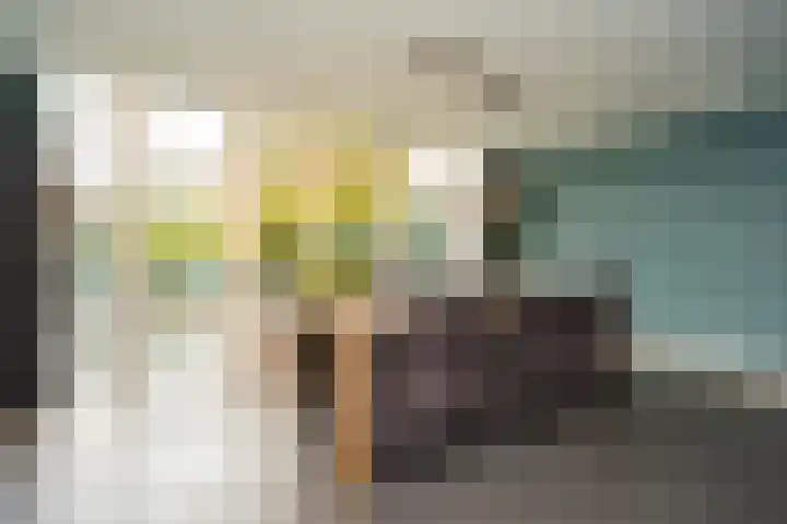Johannushof 18 Nijmegen thumbnail 7