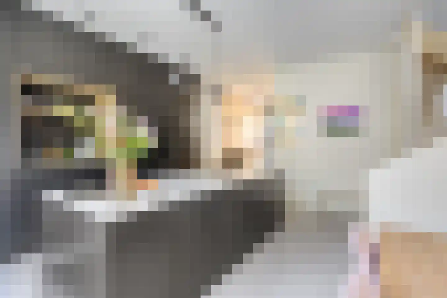 John Blankensteinstraat 103 Amsterdam thumbnail 4