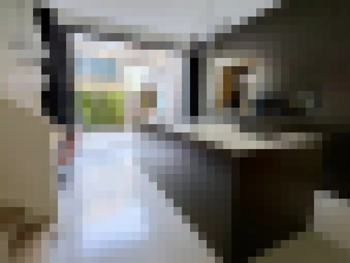 John Blankensteinstraat 103 Amsterdam thumbnail 7