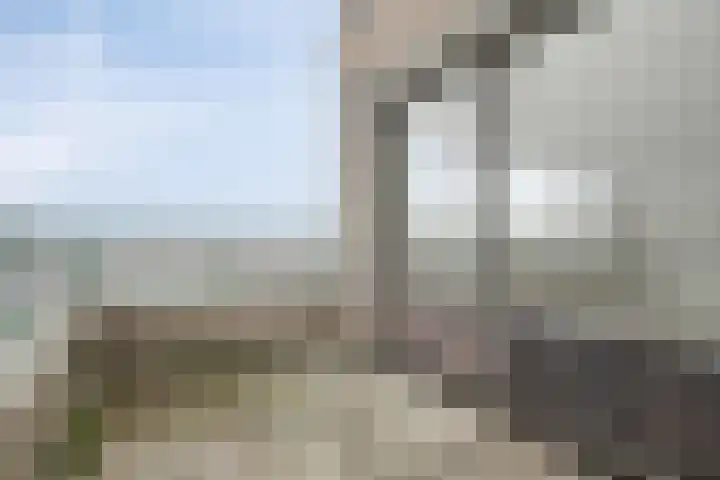 John Coltranestraat 74 Almere thumbnail 21