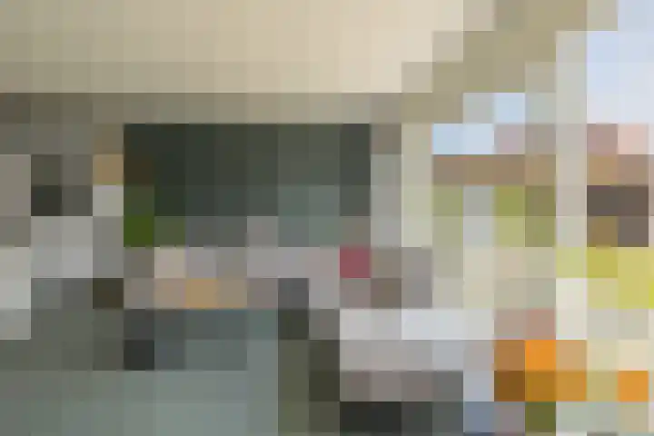 John Coltranestraat 8 Middelburg thumbnail 12