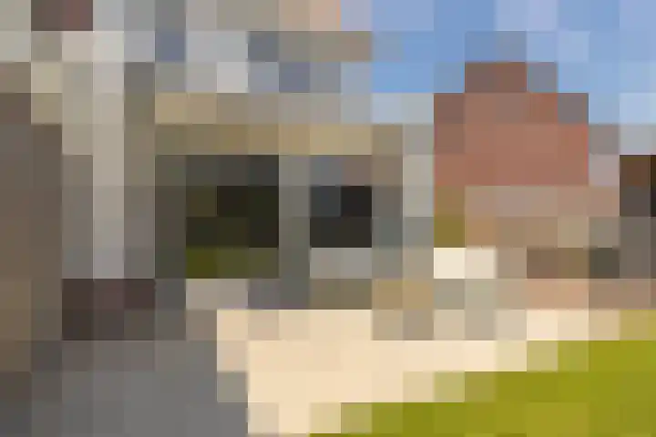 John Coltranestraat 8 Middelburg thumbnail 28