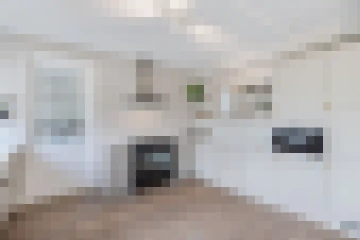 John Daltonhage 8 Emmeloord thumbnail 25