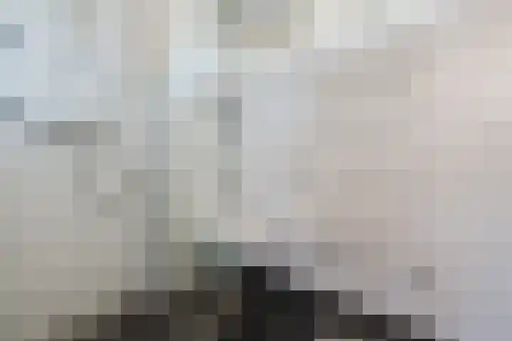 John Davisstraat 19 Geldrop thumbnail 20