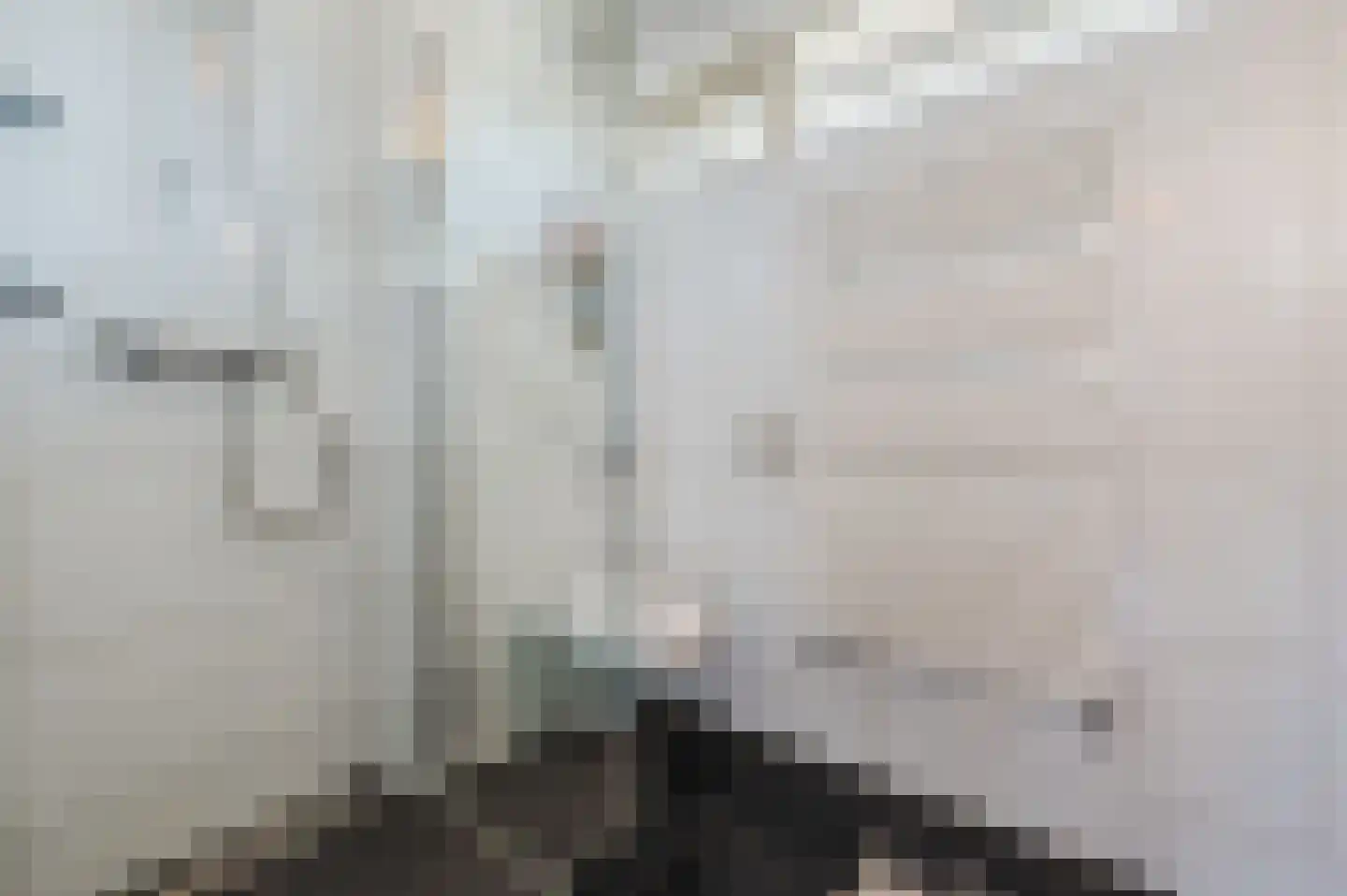John Davisstraat 19 Geldrop thumbnail 20
