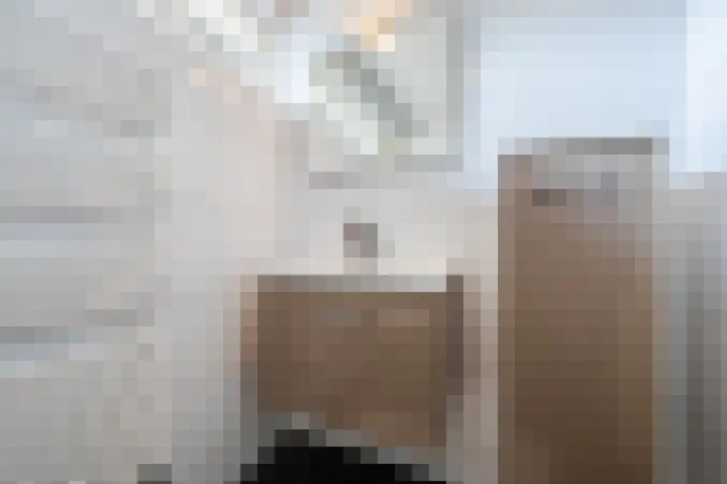 John Davisstraat 19 Geldrop thumbnail 21