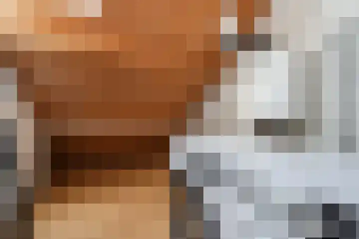 John Davisstraat 19 Geldrop thumbnail 23