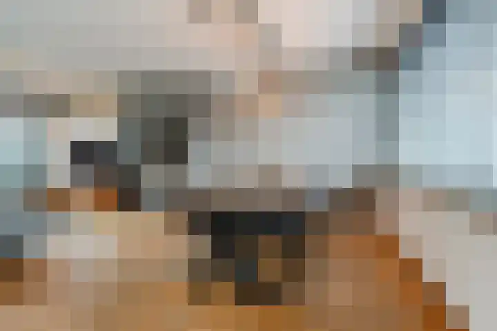 John Davisstraat 19 Geldrop thumbnail 6