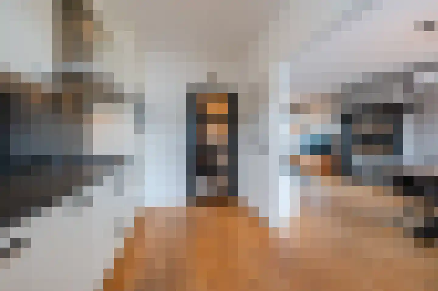 John Davisstraat 19 Geldrop thumbnail 8