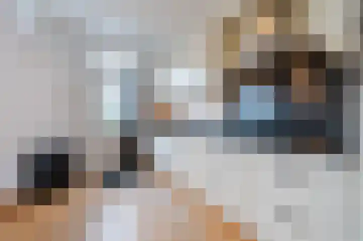 John Davisstraat 19 Geldrop thumbnail 9