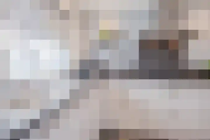 John Davisstraat 20 Geldrop thumbnail 11