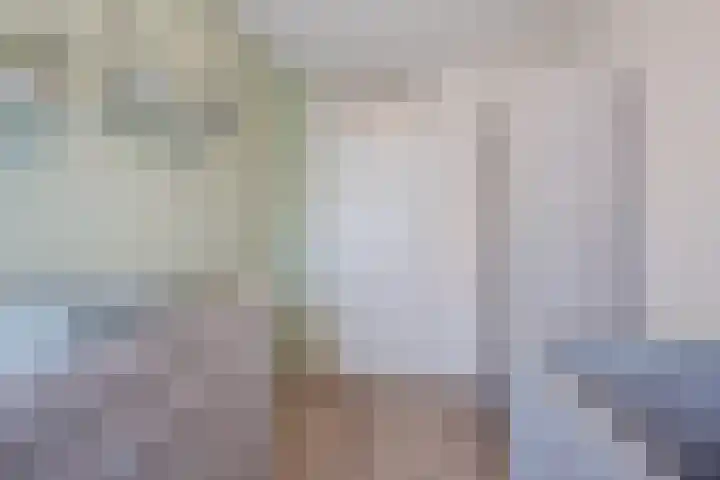 John Davisstraat 20 Geldrop thumbnail 17