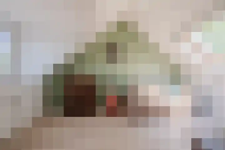 John Davisstraat 20 Geldrop thumbnail 20