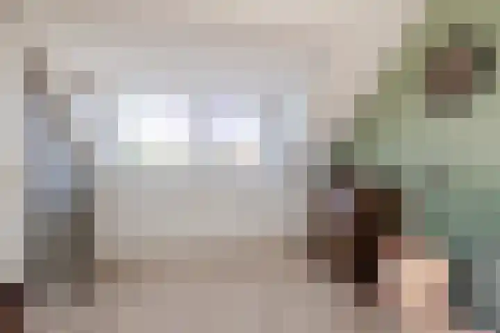 John Davisstraat 20 Geldrop thumbnail 21