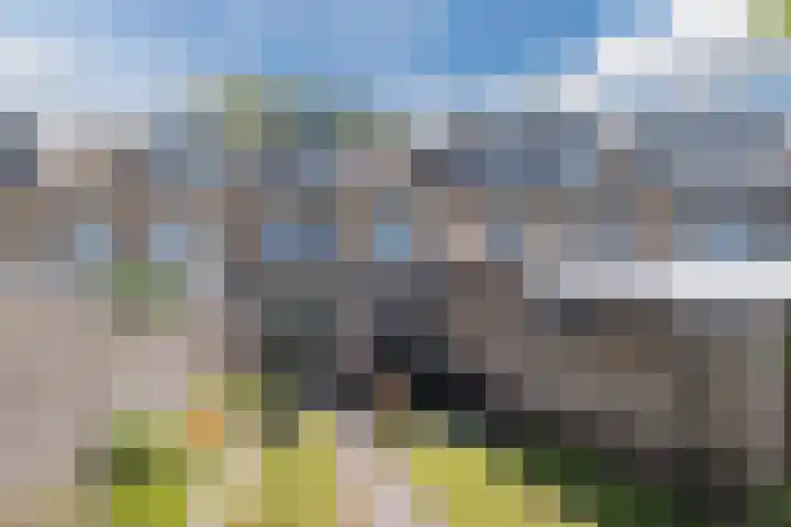 John Davisstraat 20 Geldrop thumbnail 22