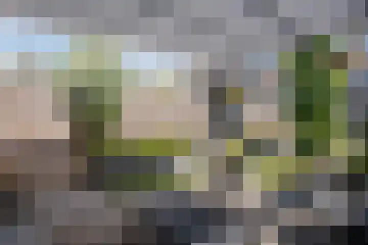 John Davisstraat 20 Geldrop thumbnail 26