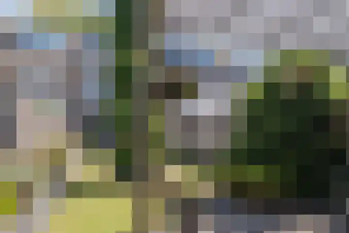 John Davisstraat 20 Geldrop thumbnail 27