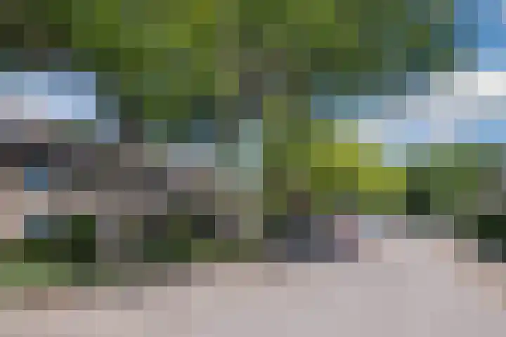 John Davisstraat 20 Geldrop thumbnail 32