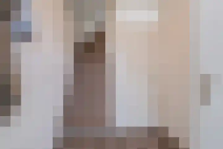 John Davisstraat 20 Geldrop thumbnail 4