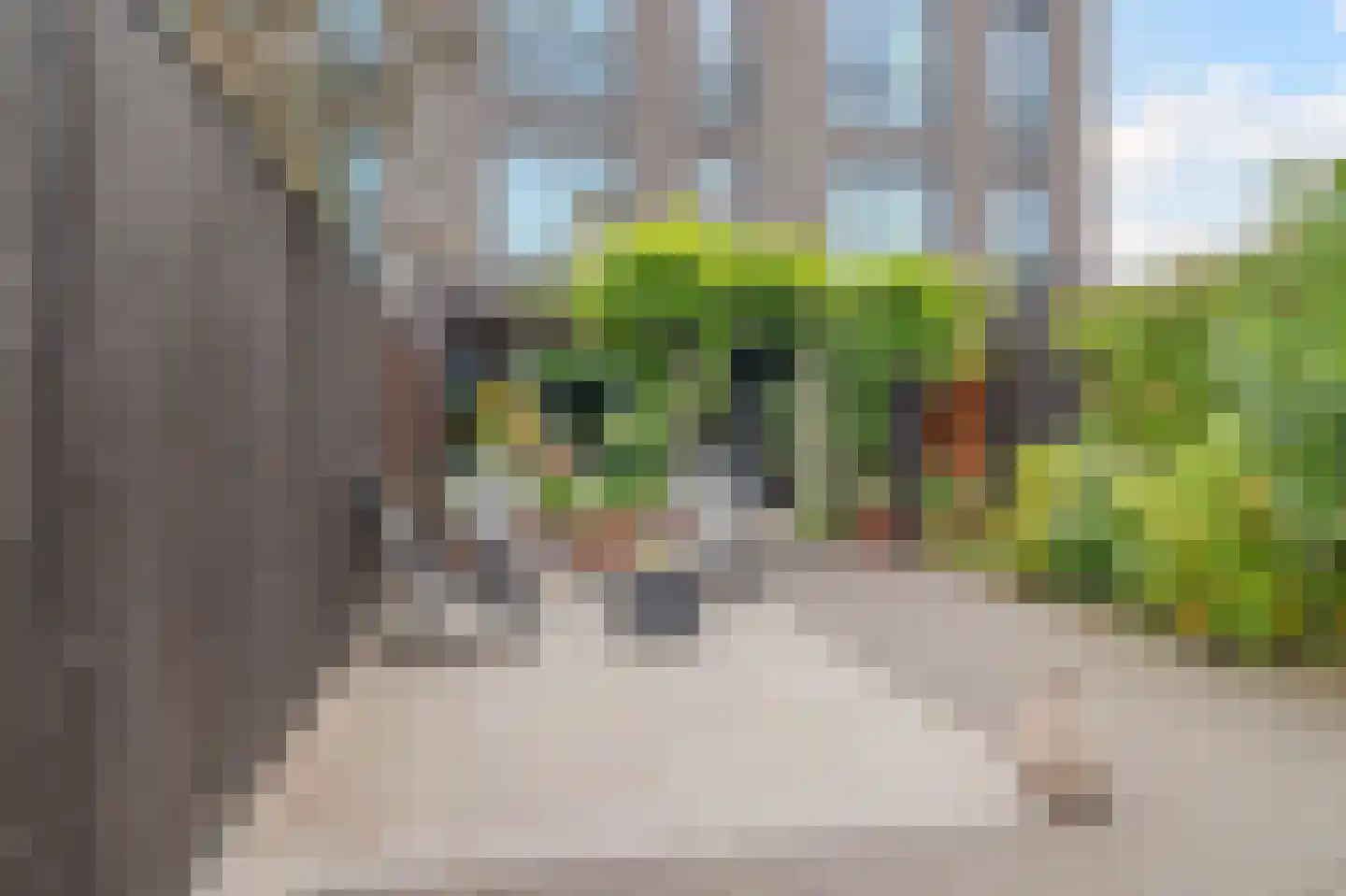 John de Visserhof 4 Hoorn thumbnail 36