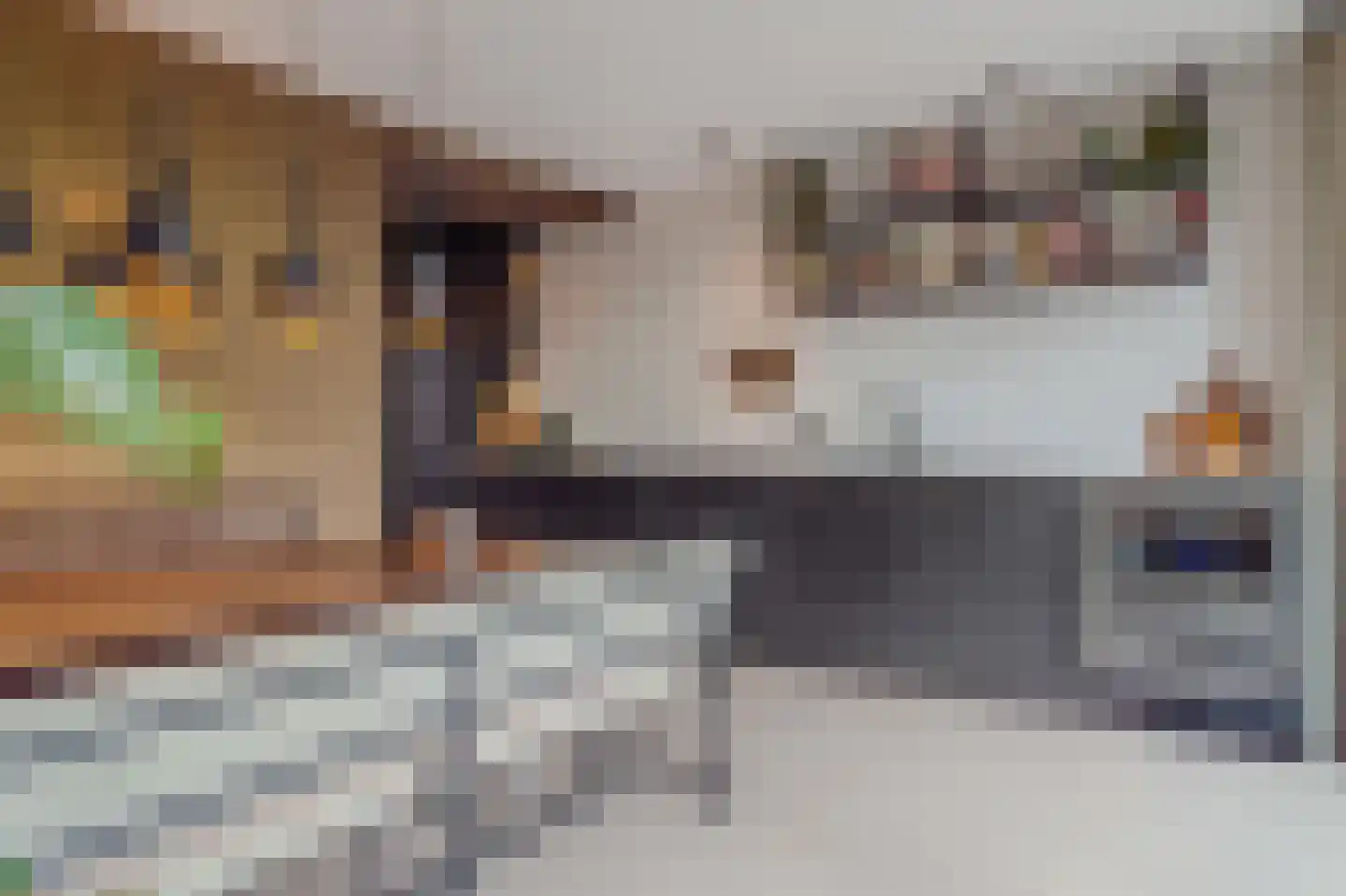 John de Visserhof 4 Hoorn thumbnail 5
