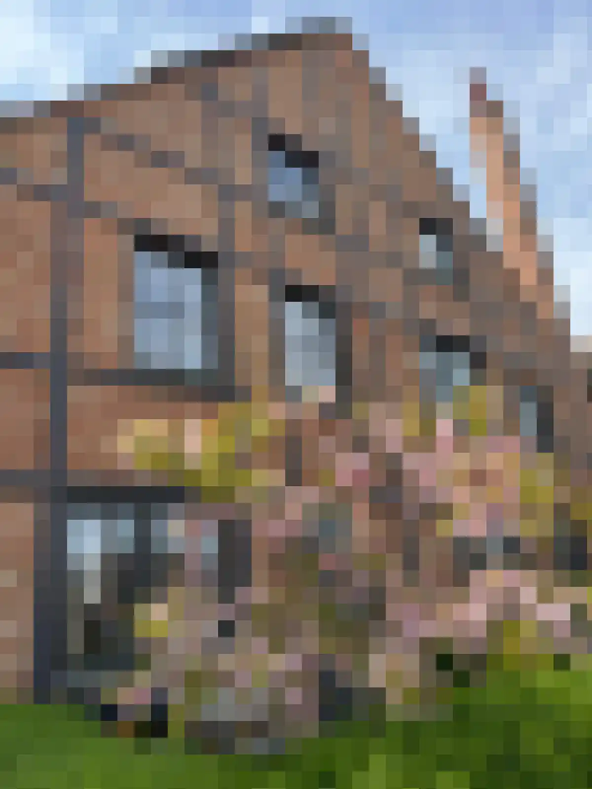 John Deelaan 24 Hoofddorp thumbnail 45