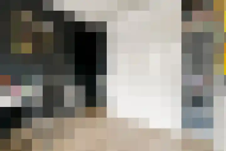 John Deelaan 34 Hoofddorp thumbnail 23