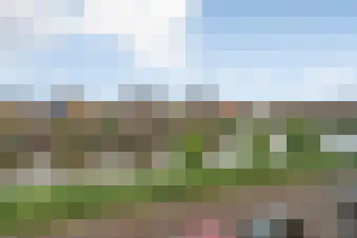 John Deelaan 34 Hoofddorp thumbnail 35