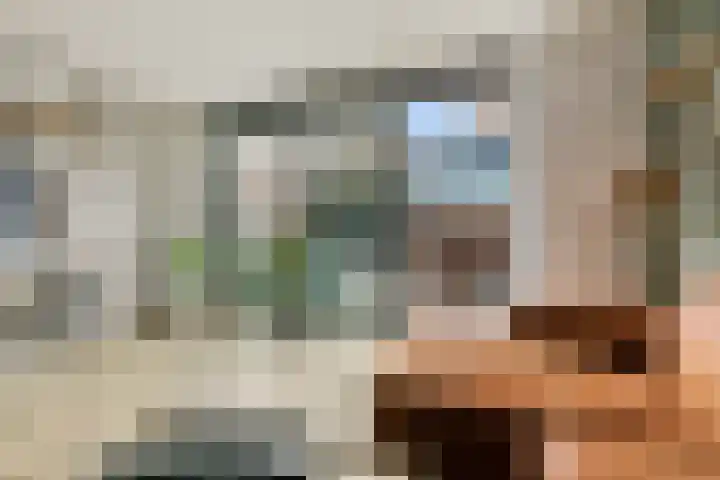 John Deelaan 34 Hoofddorp thumbnail 5