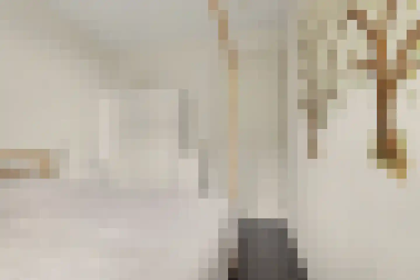 John Denverlaan 1 Goes thumbnail 23