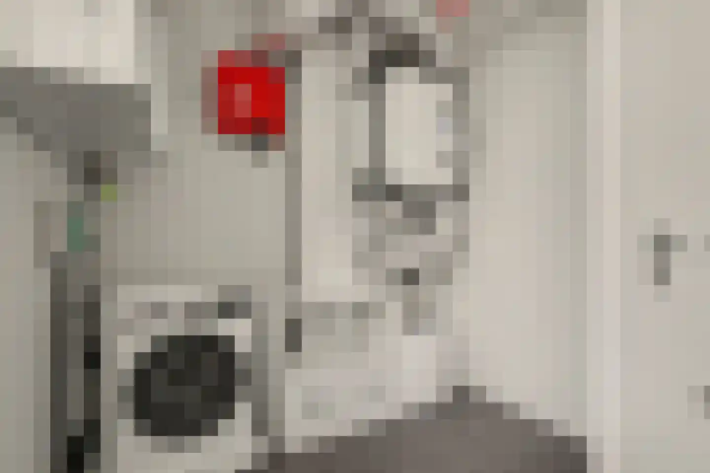 John Denverlaan 1 Goes thumbnail 29
