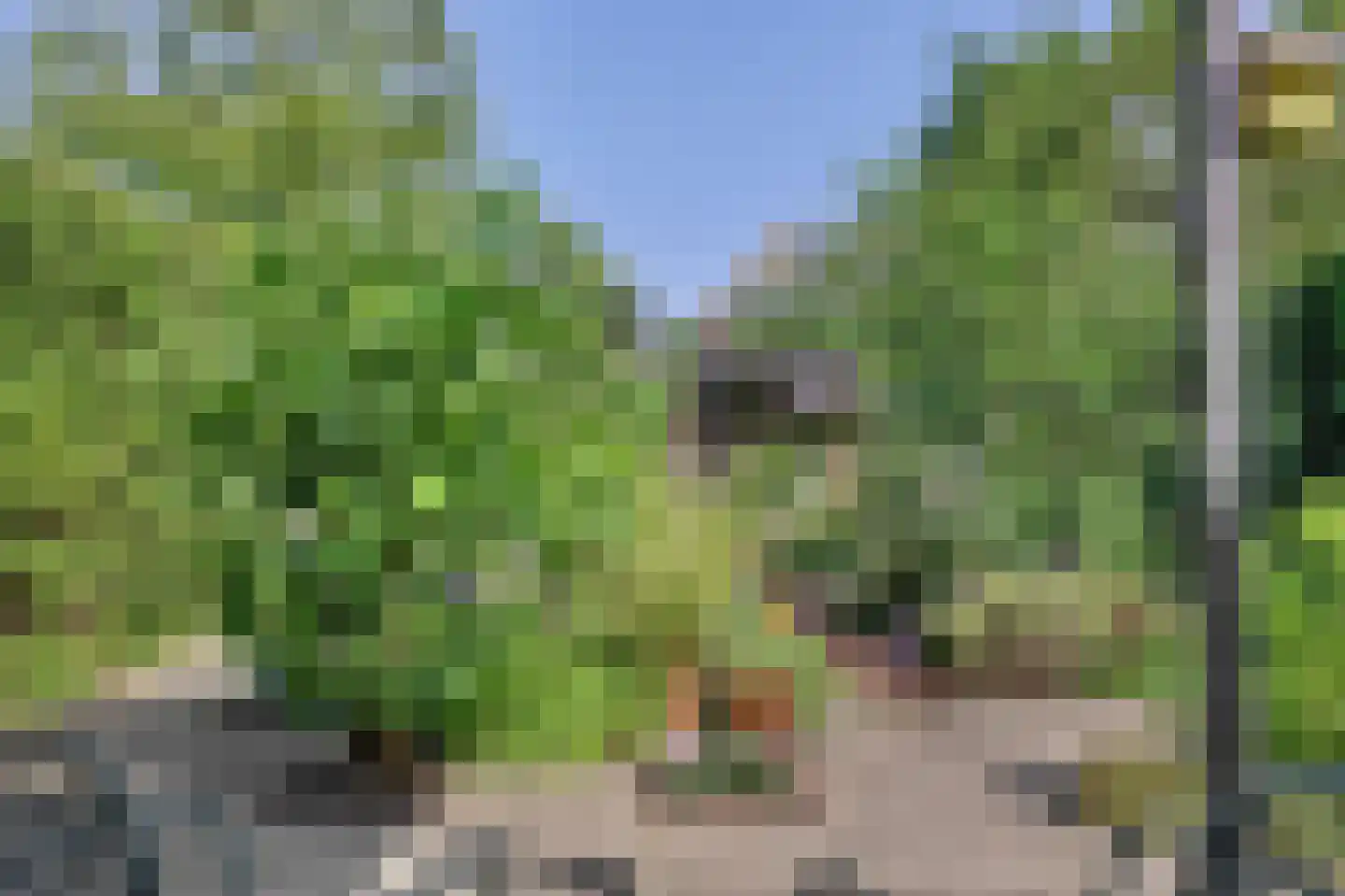 John Denverlaan 1 Goes thumbnail 33
