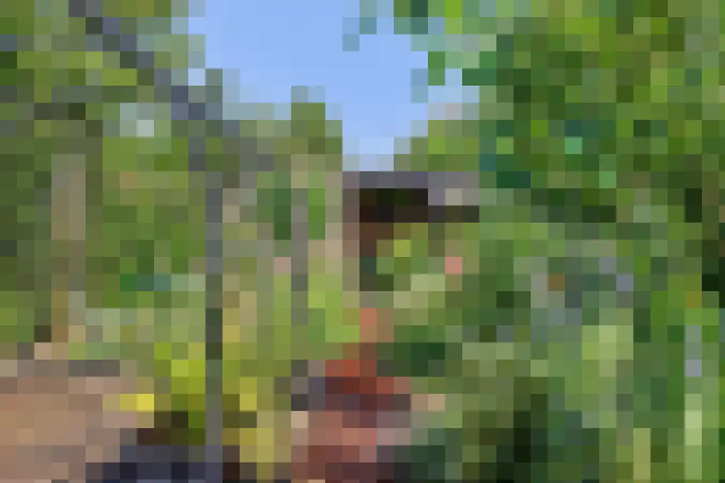 John Denverlaan 1 Goes thumbnail 35