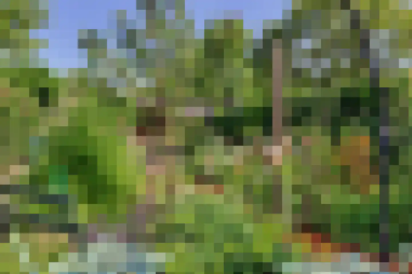 John Denverlaan 1 Goes thumbnail 36