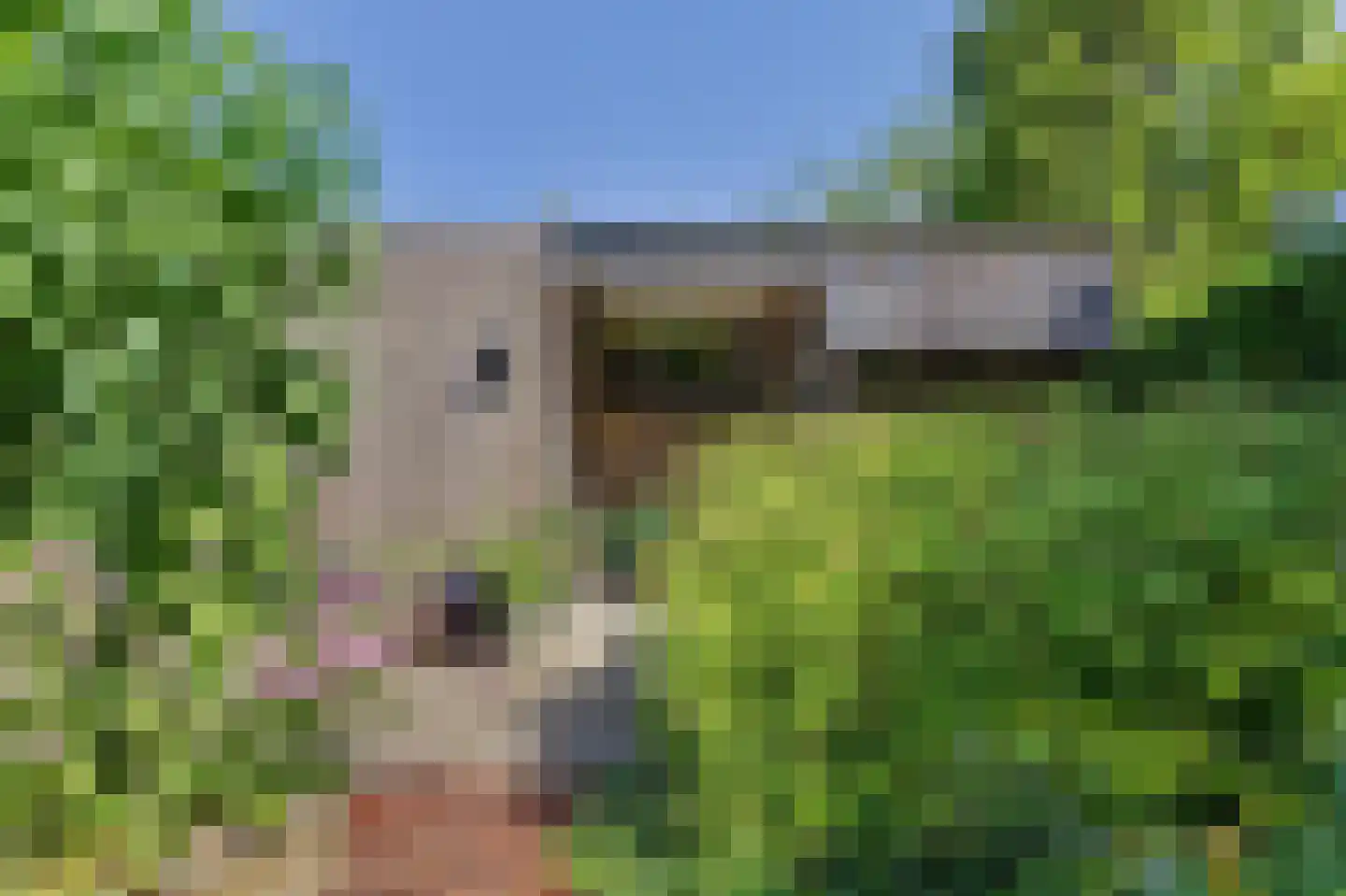 John Denverlaan 1 Goes thumbnail 37