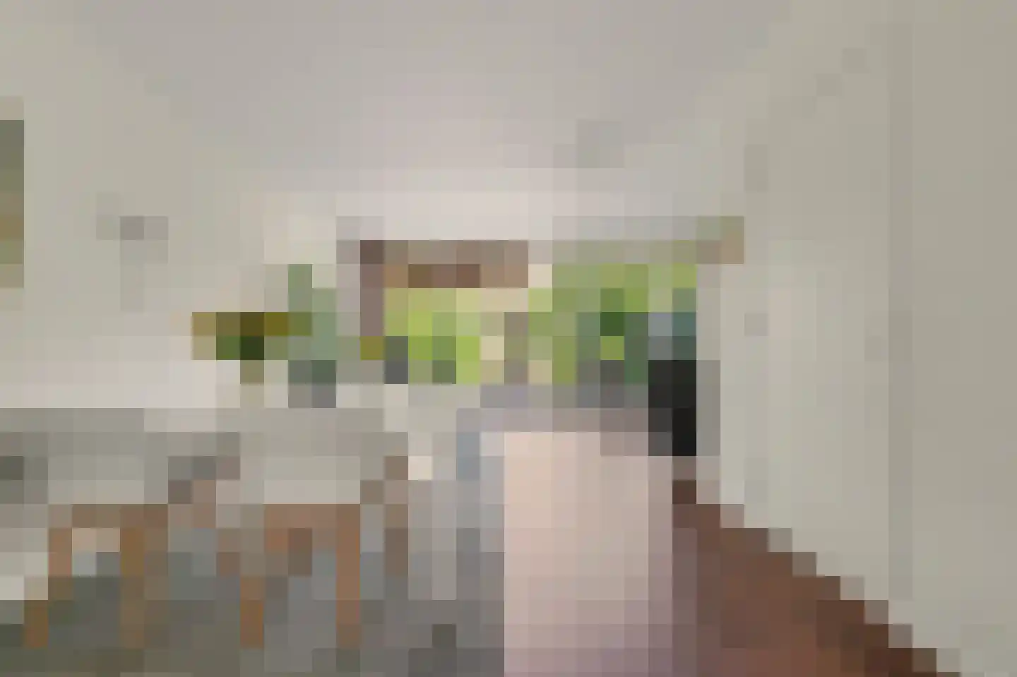 John Denverlaan 1 Goes thumbnail 8