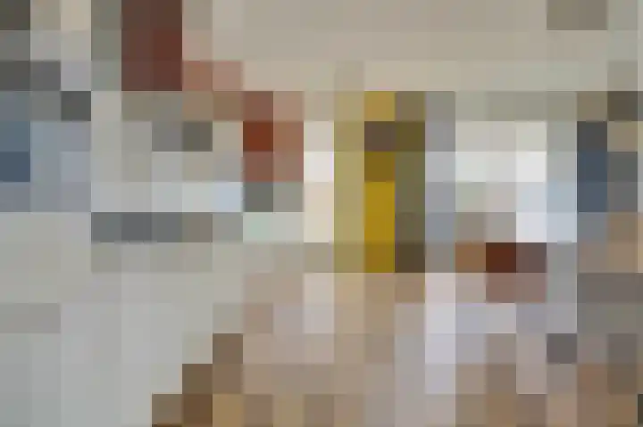 John Denverlaan 19 Goes thumbnail 10