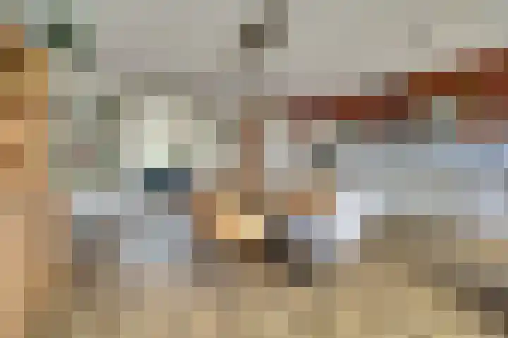 John Denverlaan 19 Goes thumbnail 12