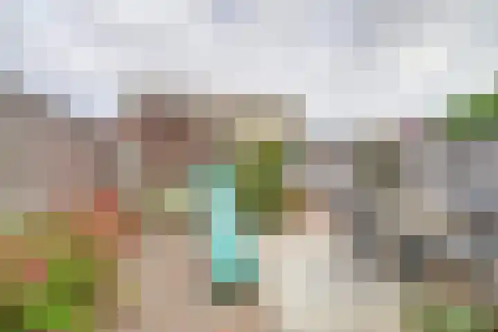 John Denverlaan 19 Goes thumbnail 27