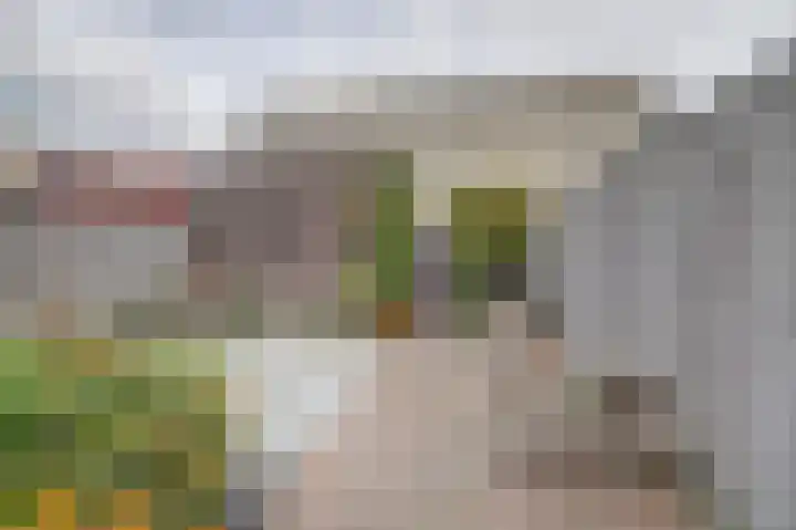 John Denverlaan 19 Goes thumbnail 29