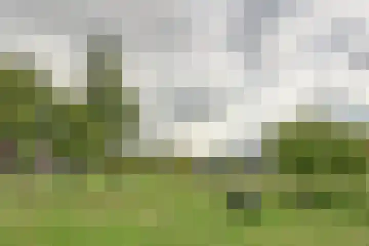 John Denverlaan 19 Goes thumbnail 30